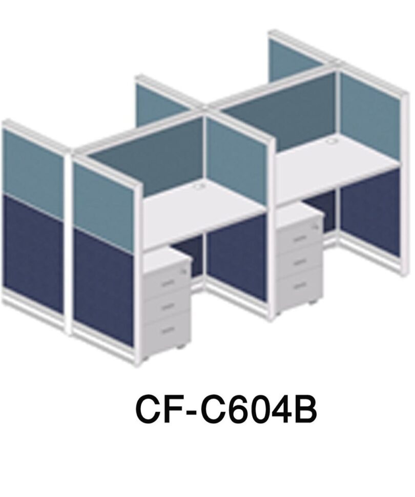 CF-C604B Work Station