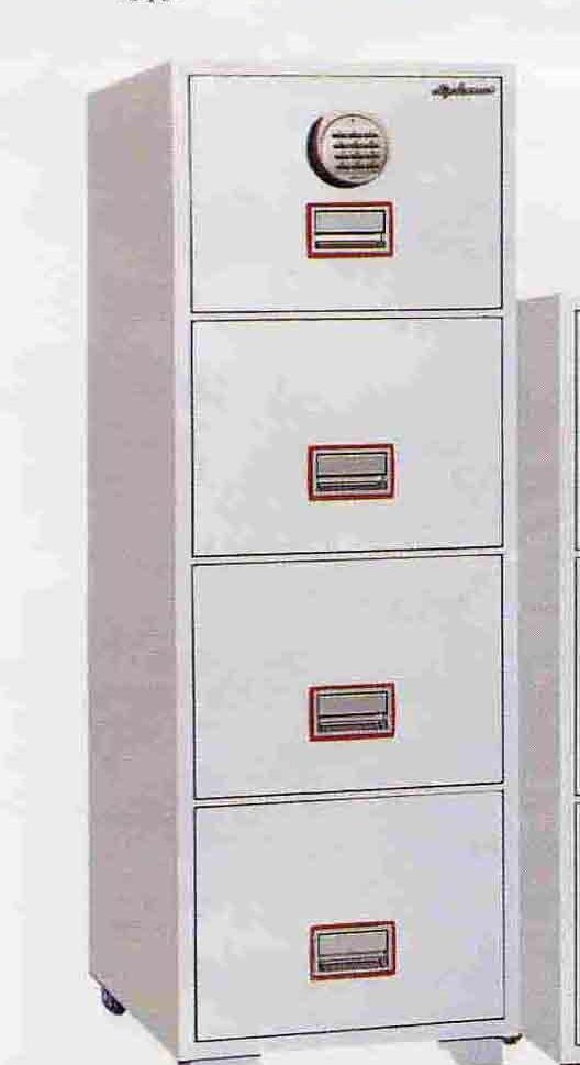 DFC-400E Steel Safe