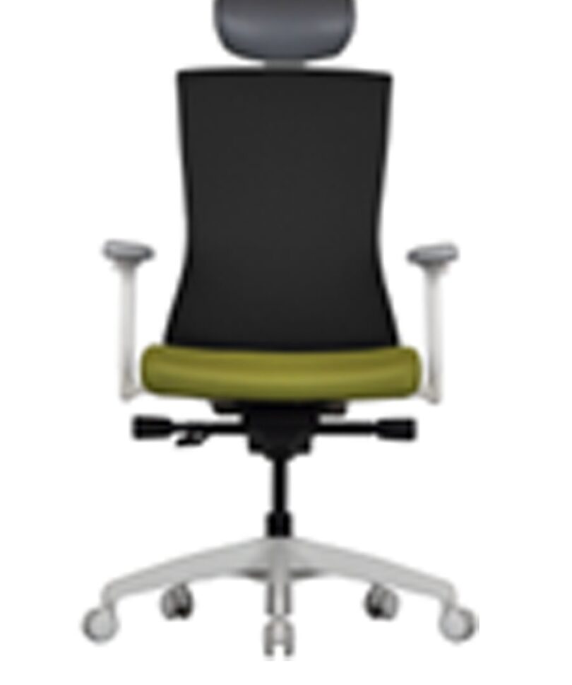 SW-F110W Chair
