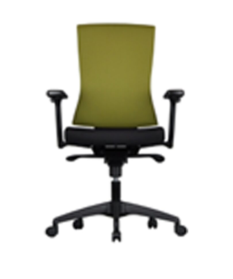 SW-F120B Chair